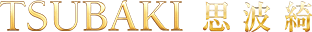 kv-logo