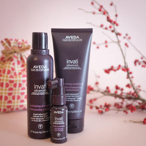 aveda新春好蘊組產品圖