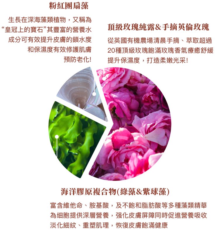 粉紅團扇藻、頂級玫瑰純露&手摘英倫玫瑰、海洋膠原複合物(綠藻&紫球藻) 