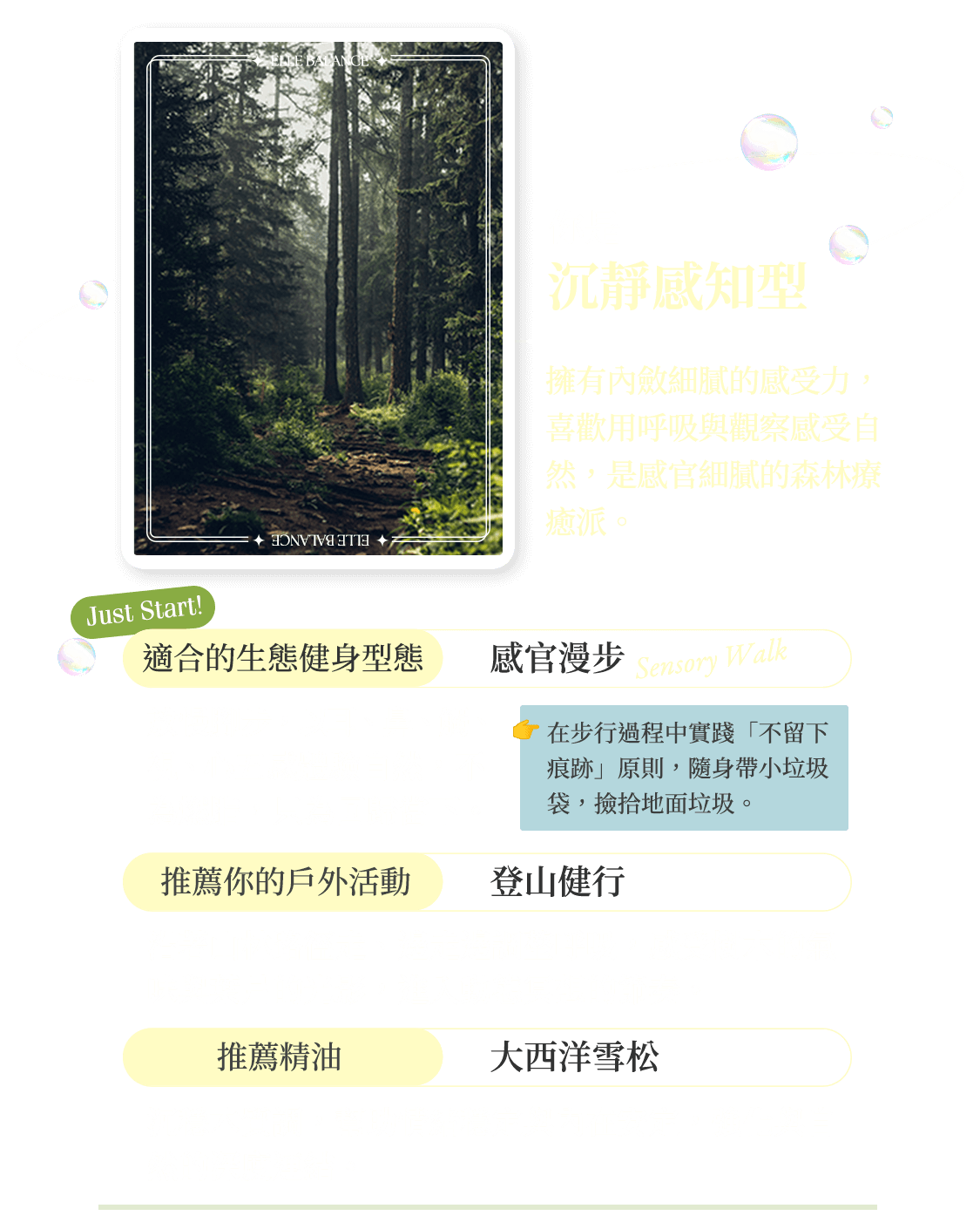 沉靜感知型